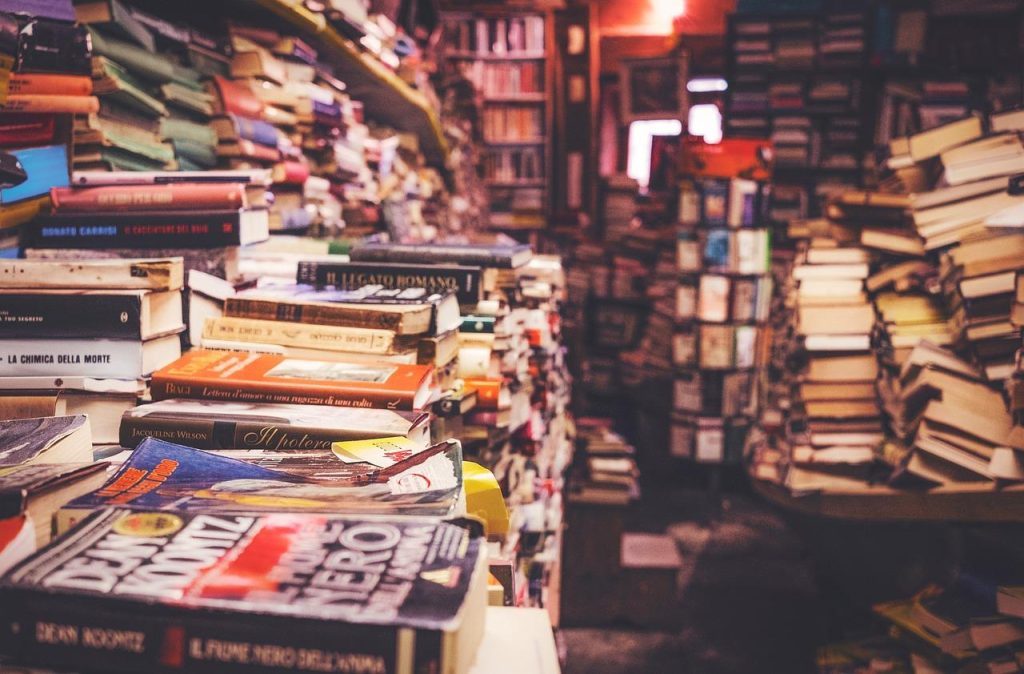 Boekhandel in Zoetermeer als verborgen schat voor boekenliefhebbers met boekenkasten en gezellige sfeer